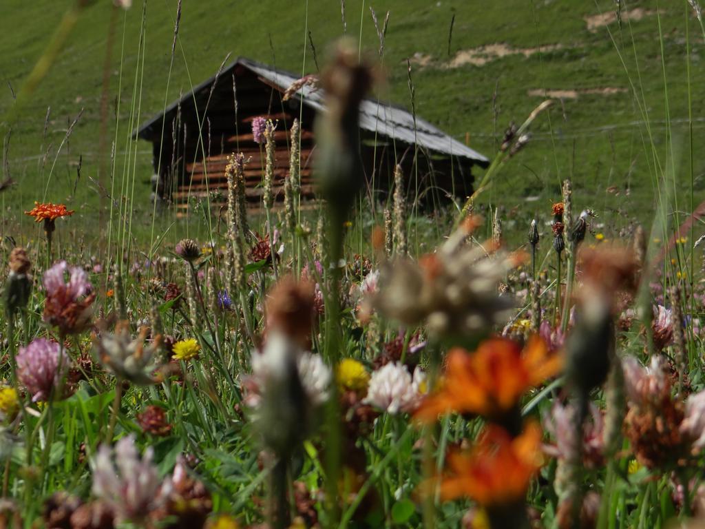 Hotel Silvretta Serfaus Kültér fotó