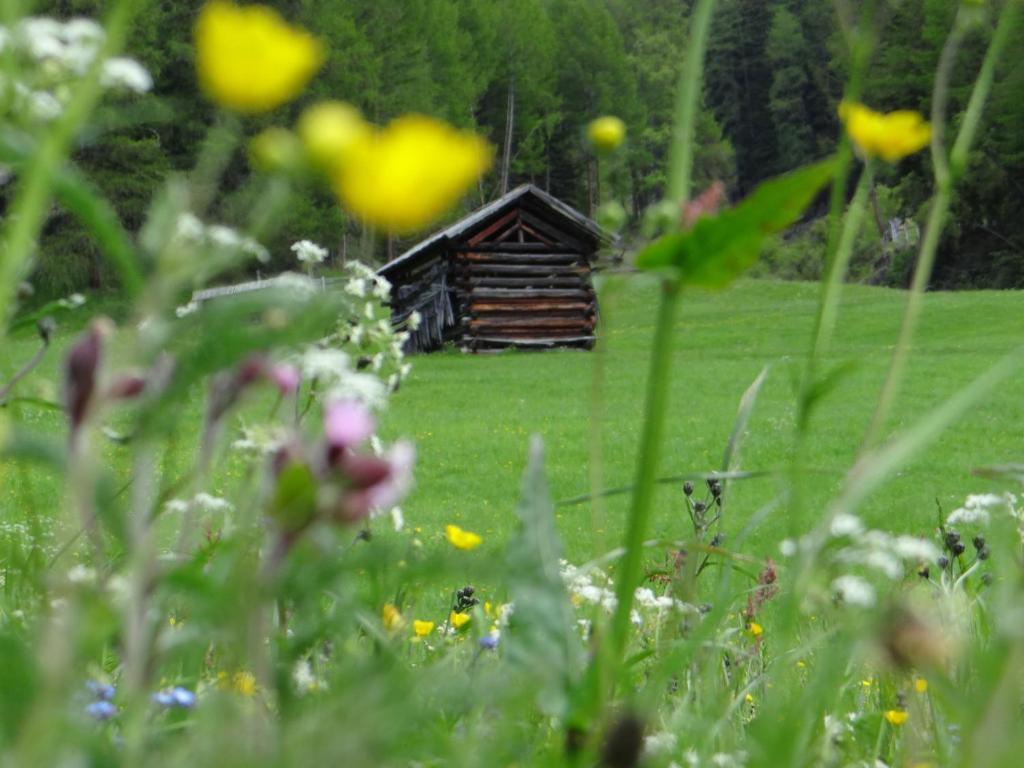 Hotel Silvretta Serfaus Kültér fotó